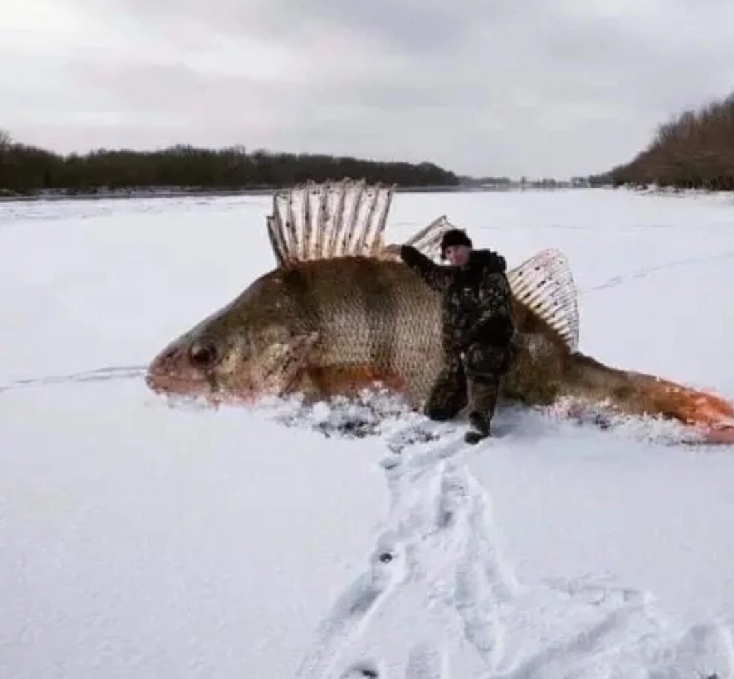 Картинка с просторов интернета по теме))