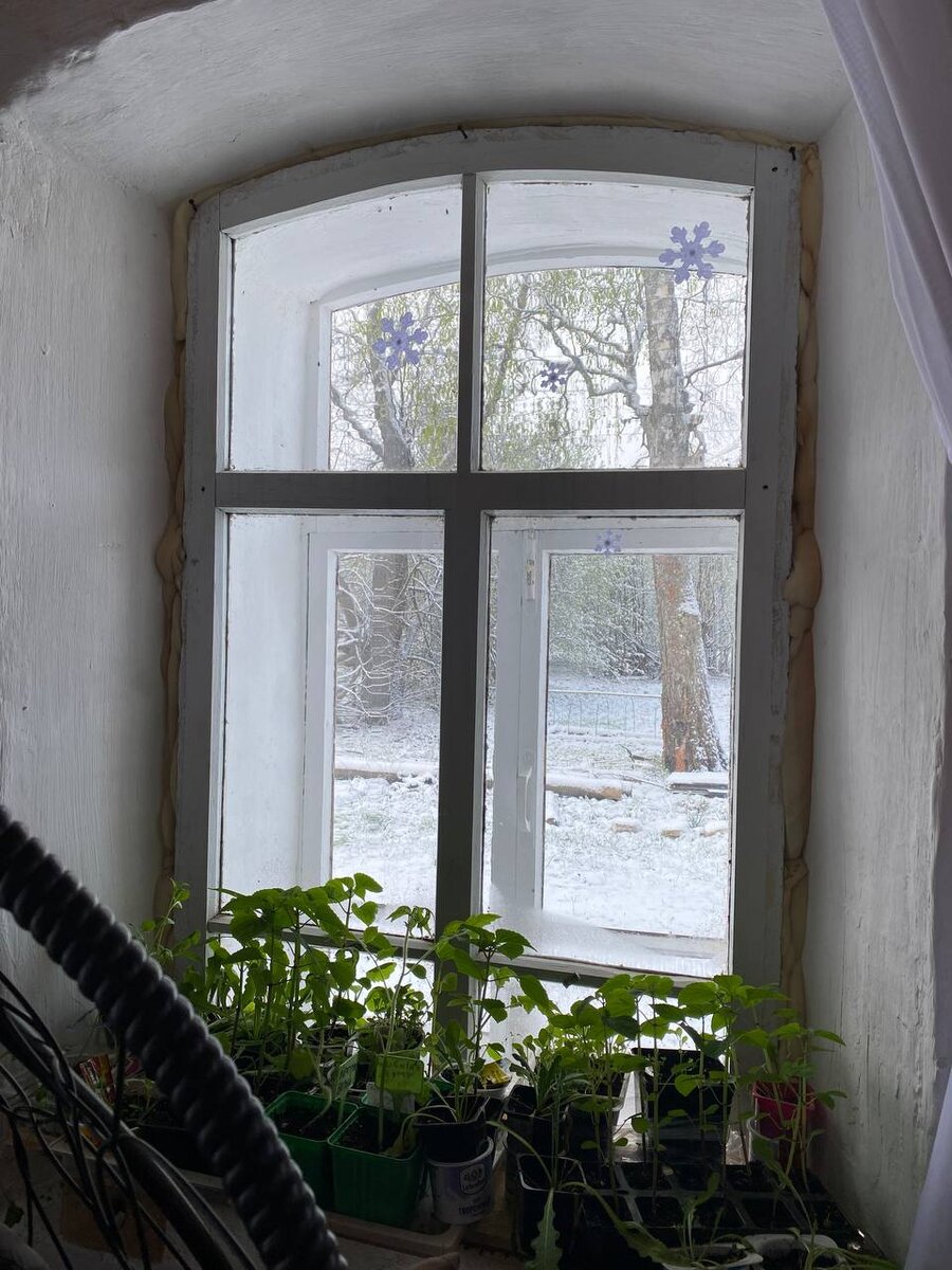 Здравствуйте, дорогие читатели «Вятского Хутора»! Вчера наш суровый климат преподнёс настоящий сюрприз. Мы проснулись, а за окном всё белым-бело, совсем как зимой.