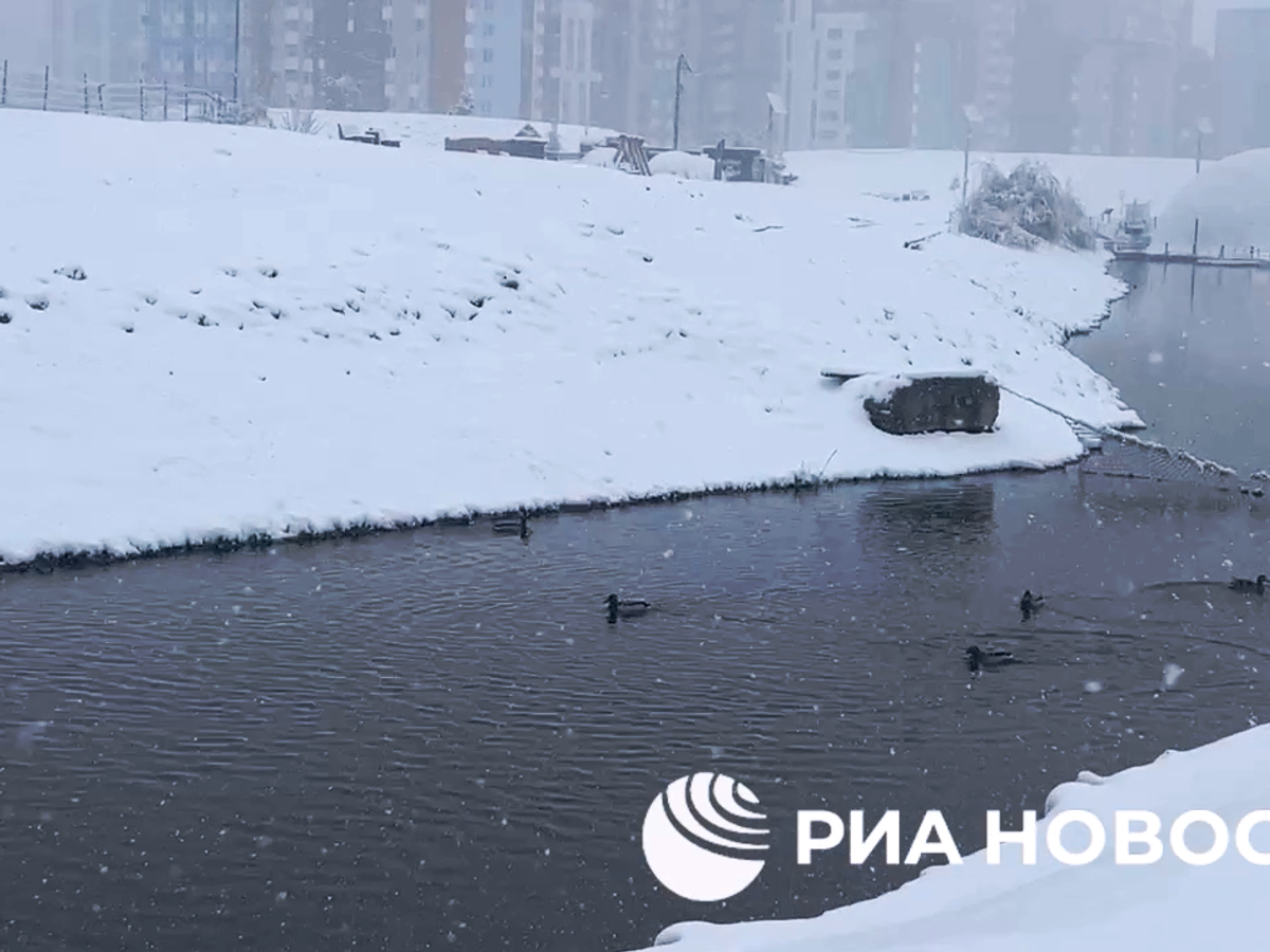    Результат ночного снегопада в Екатеринбурге. 4 мая 2024© РИА Новости
