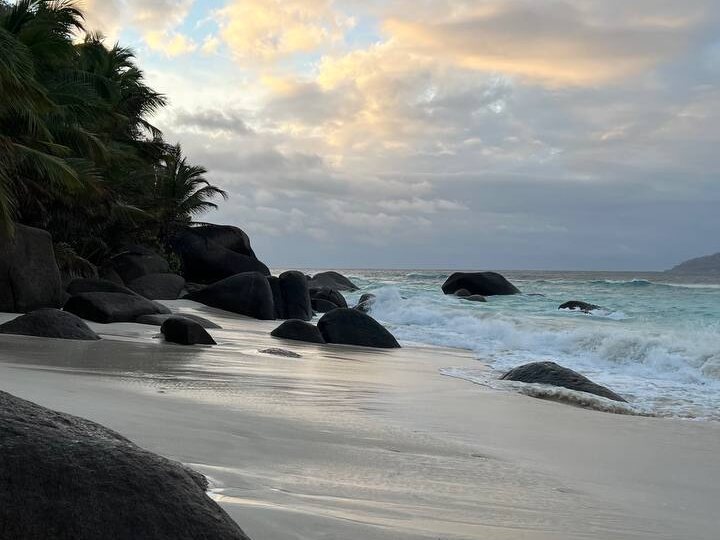 Не бронируйте Сейшелы, пока не прочтете это⤵️