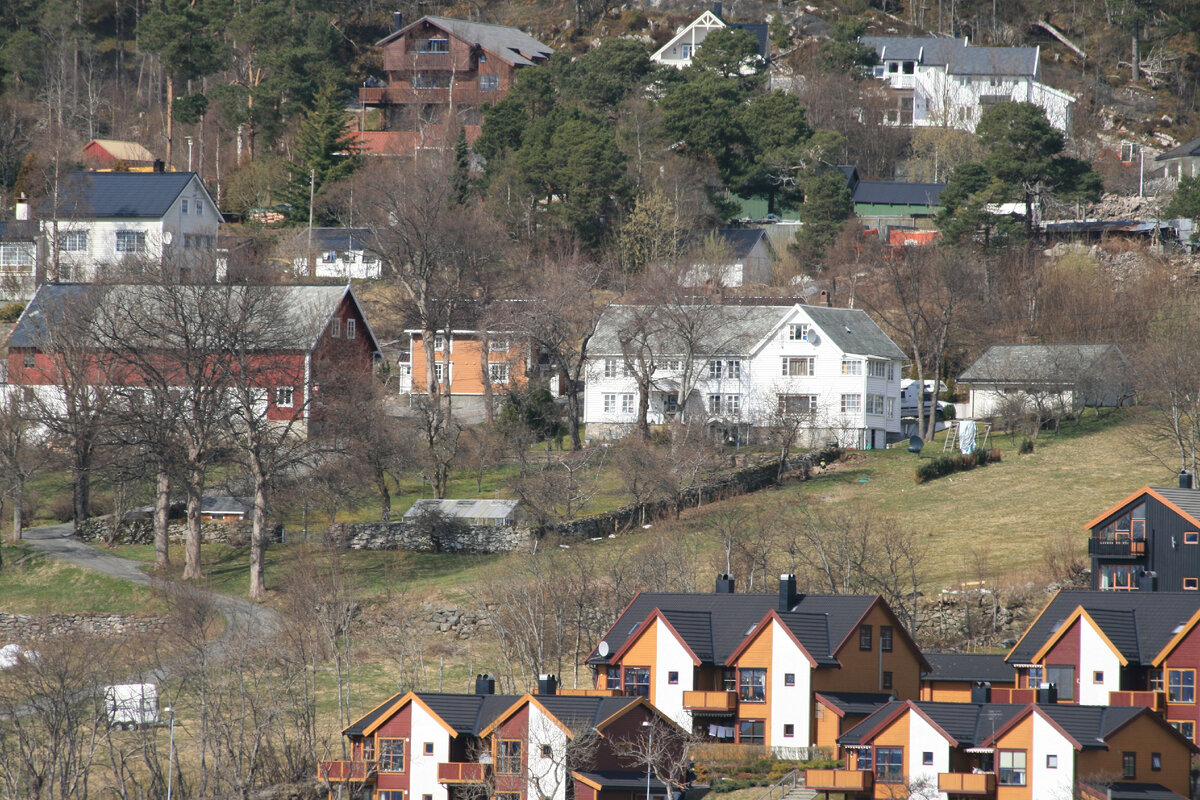 Средняя часть фото - это наш дом, гараж и красное - подсобное помещение. Белый дом слева был родительским домом. Жёлтый домик и дома выше были построены для сдачи. После раздела имущества между братьями у нас остался белый дом с садом. На переднем плане домики на две семьи (не наши)