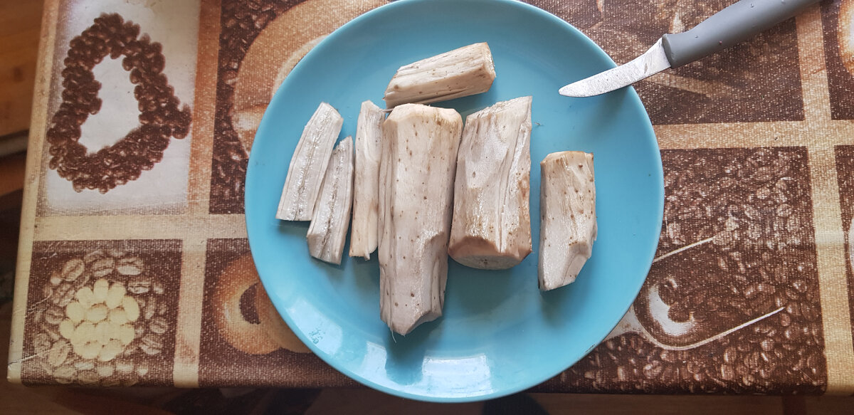 Выкапываем корневища вездесущего лопуха, обрезаем ножом, как картошку, и промываем.