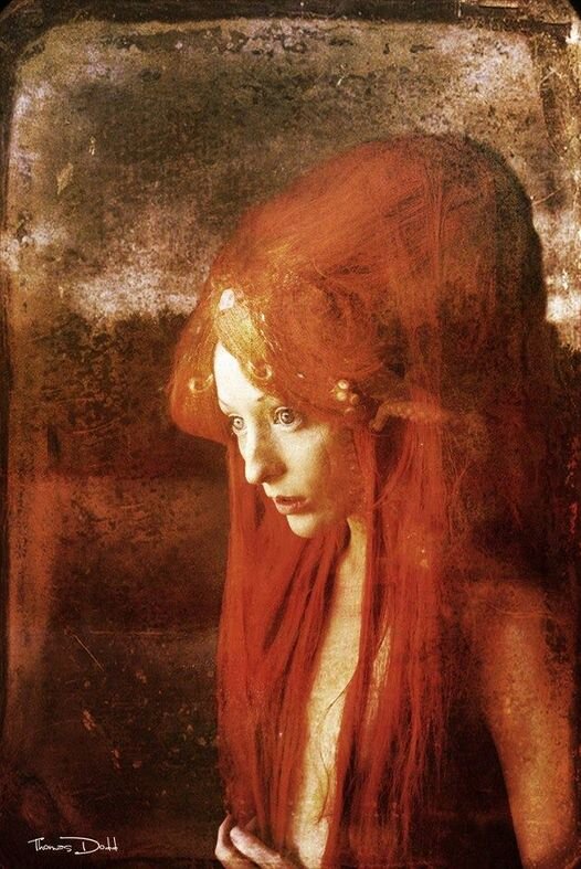 современный американский художник Томас Додд (Thomas Dodd)