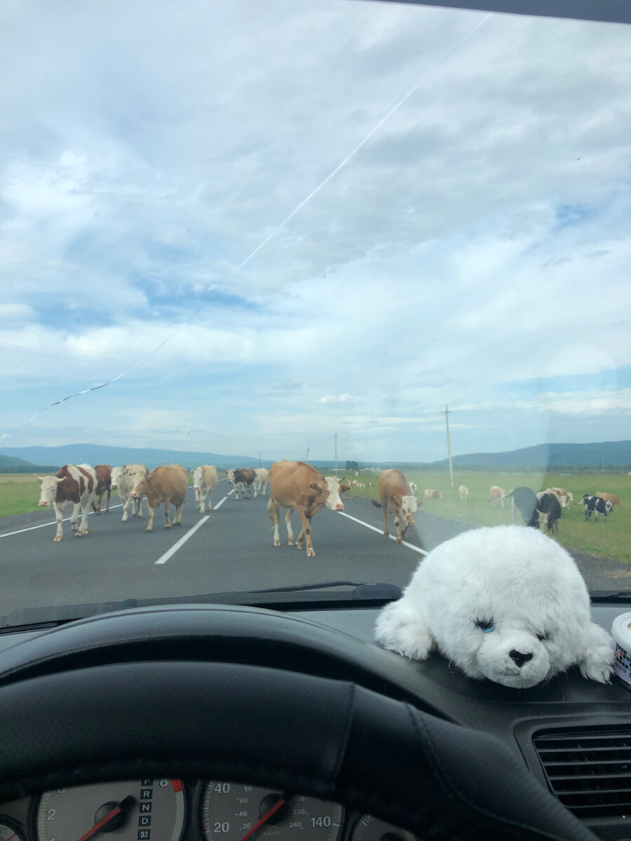 Едем через пробки