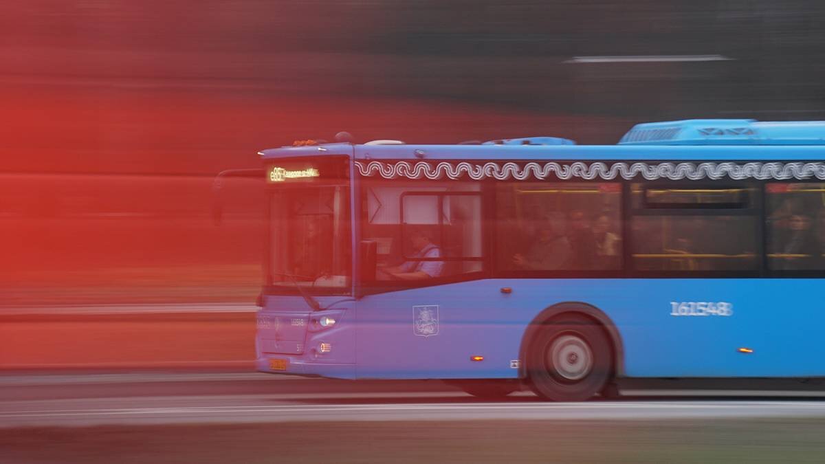    Фото: Анатолий Цымбалюк / Вечерняя Москва