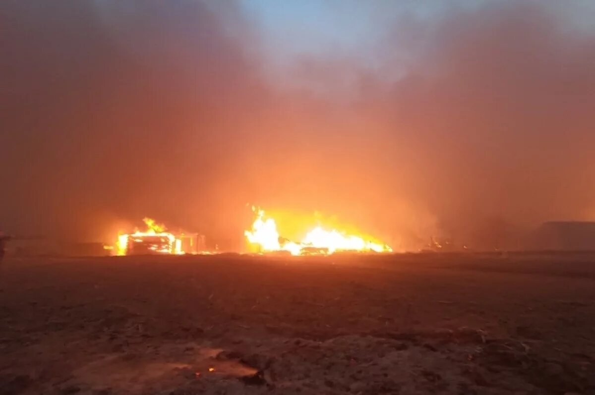    Сгорели дома.