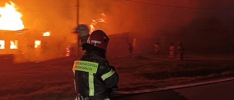    Фото:  АиФ/ Игорь Сабаталов