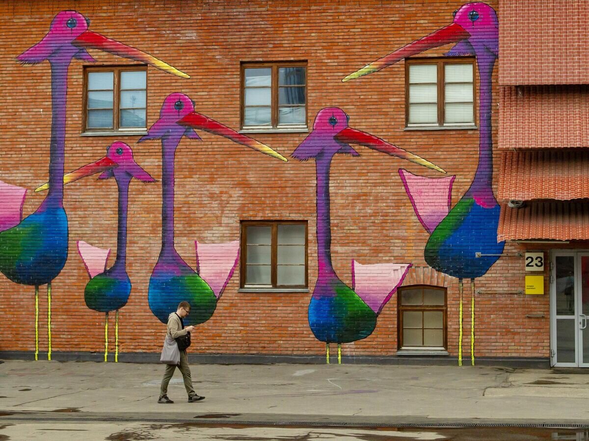    Мурал "Birds" Amaro на Винзаводе в Москве© РИА Новости / Мария Девахина