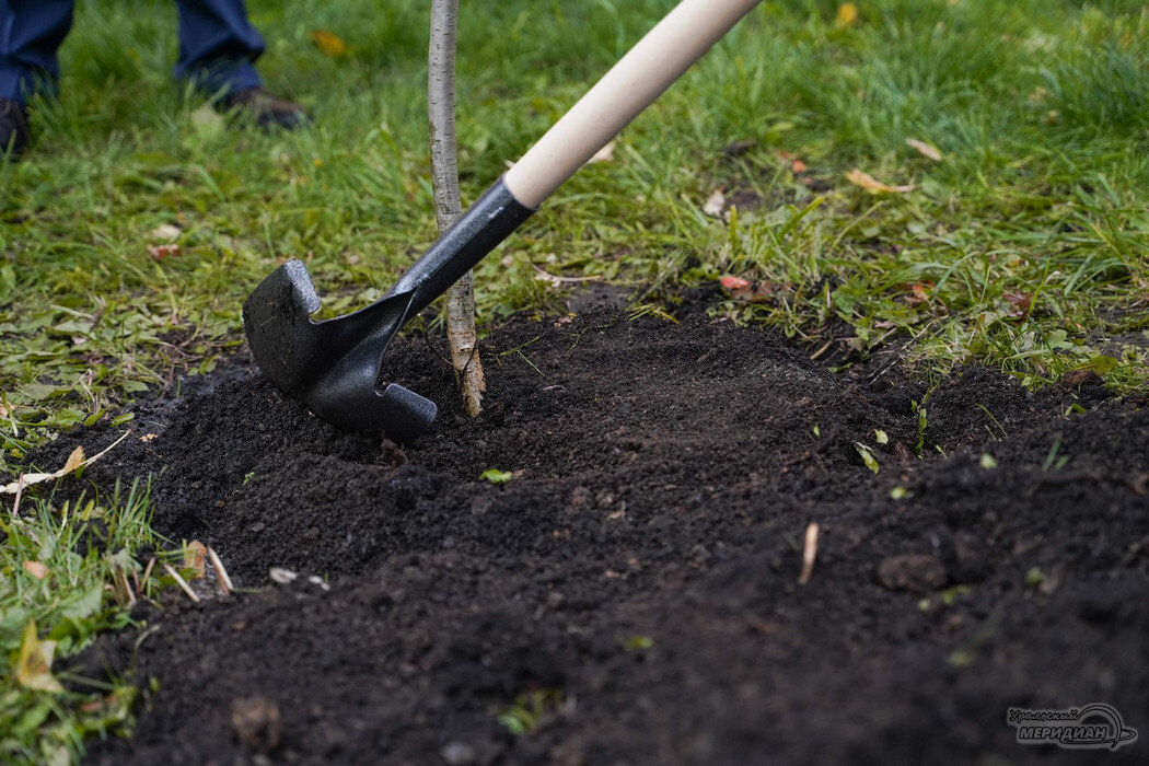    Фото: Лидия Аникина © ИА «Уральский меридиан» Александр Аникин