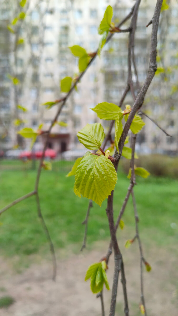 Фото автора 