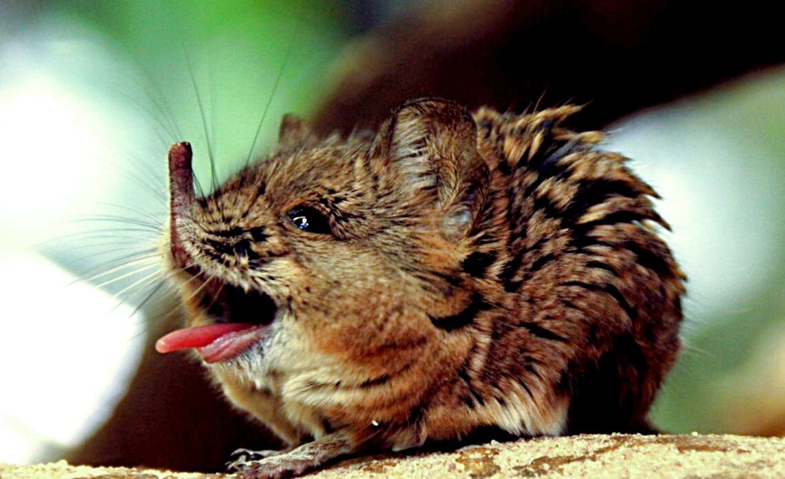 Снимок: msnip.ru