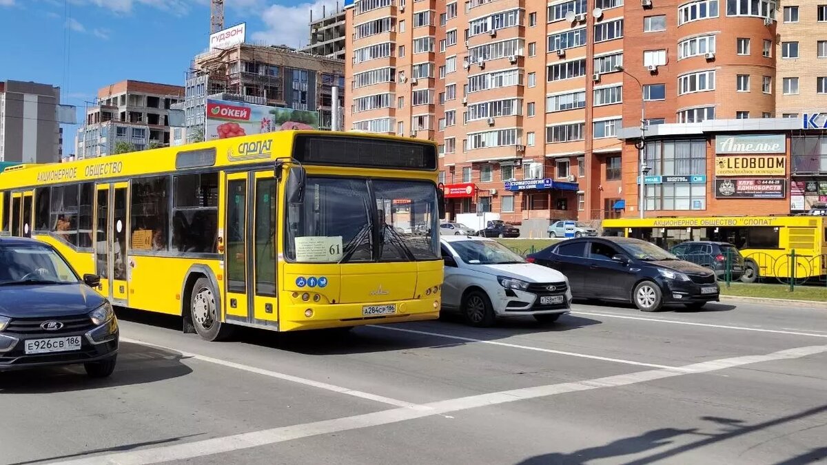 Компании мэрии Сургута нужно в 1,5 раза больше автобусов, чтобы наладить  расписание | muksun.fm | Дзен