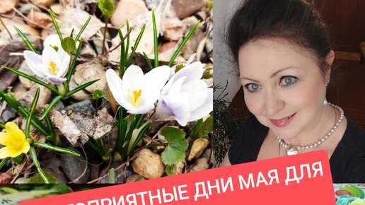 🍀БЛАГОПРИЯТНЫЕ ДНИ МАЯ для🌱 посева разных культур! Что буду сеять в мае!