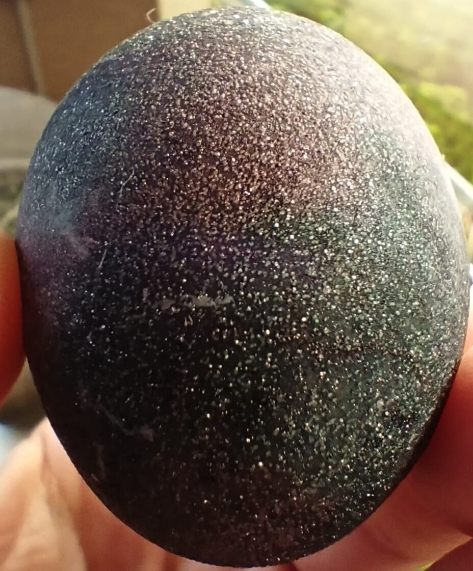 Фото подписчика🐣