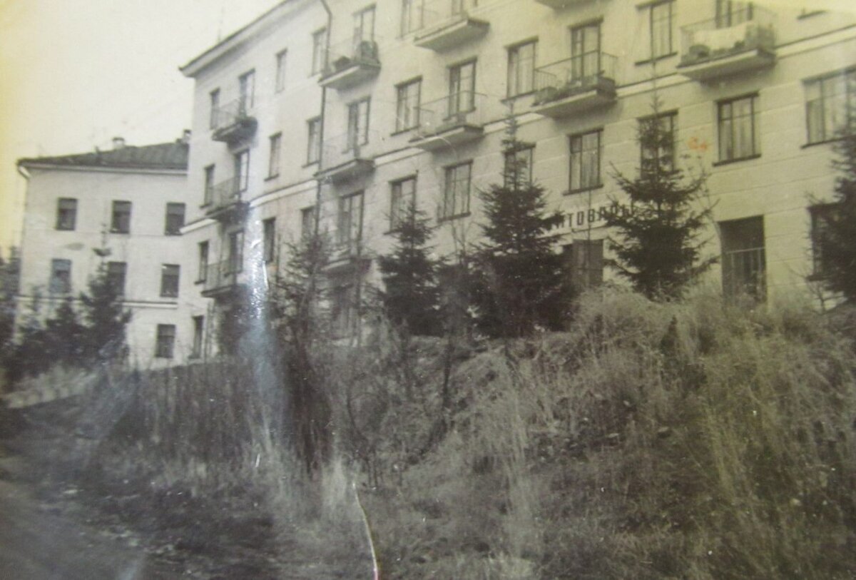 Здесь раньше стоял деревянный дом и был двор, где жил Трезор 