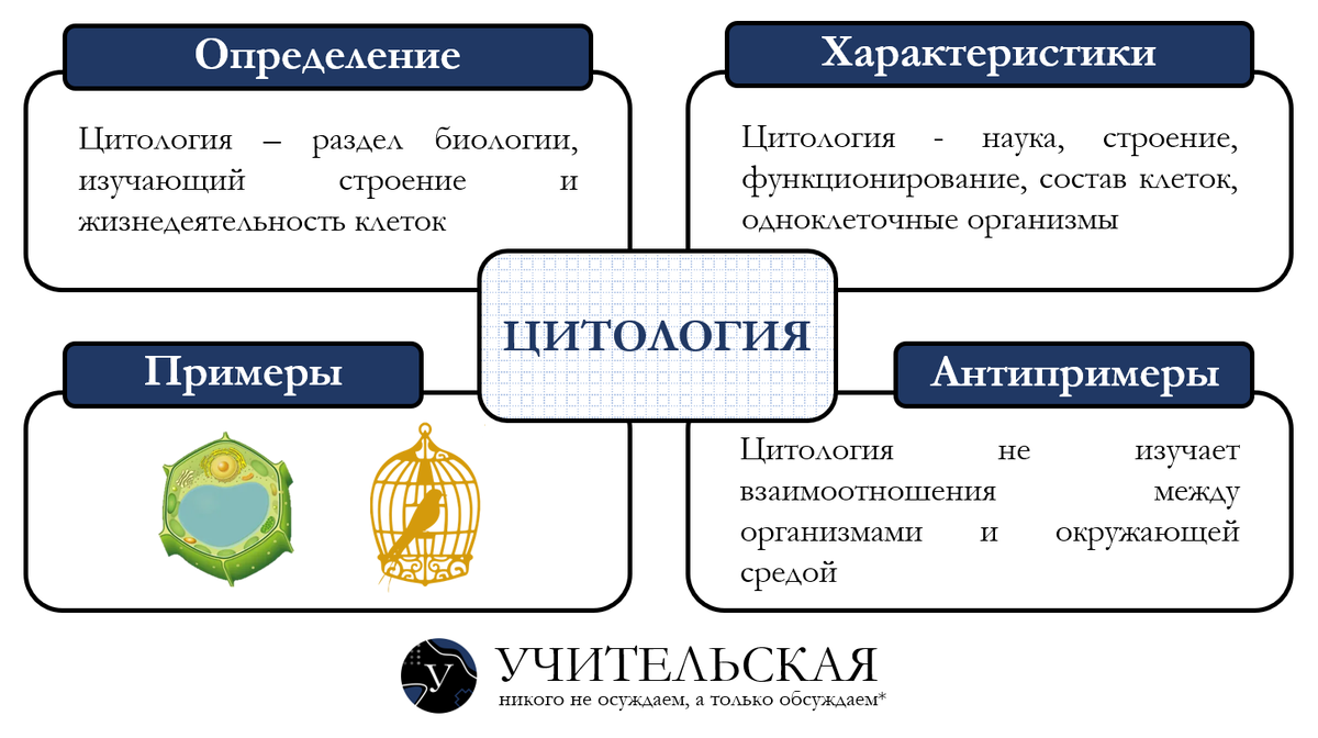 Рис. 2. Пример заполненной модели Фрейера по понятию "цитология" в 5-х классах