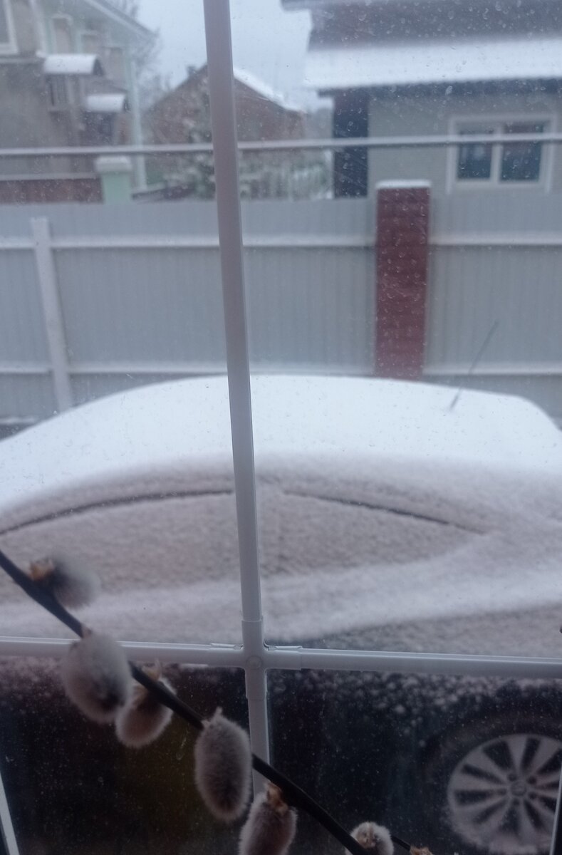 В другое окно смотрю,машина-сугроб