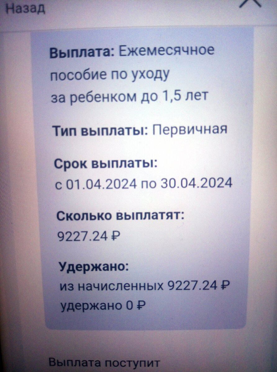 Последняя выплата. Бюджет- сколько было, сколько станет | Выживалити в  декрете | Дзен