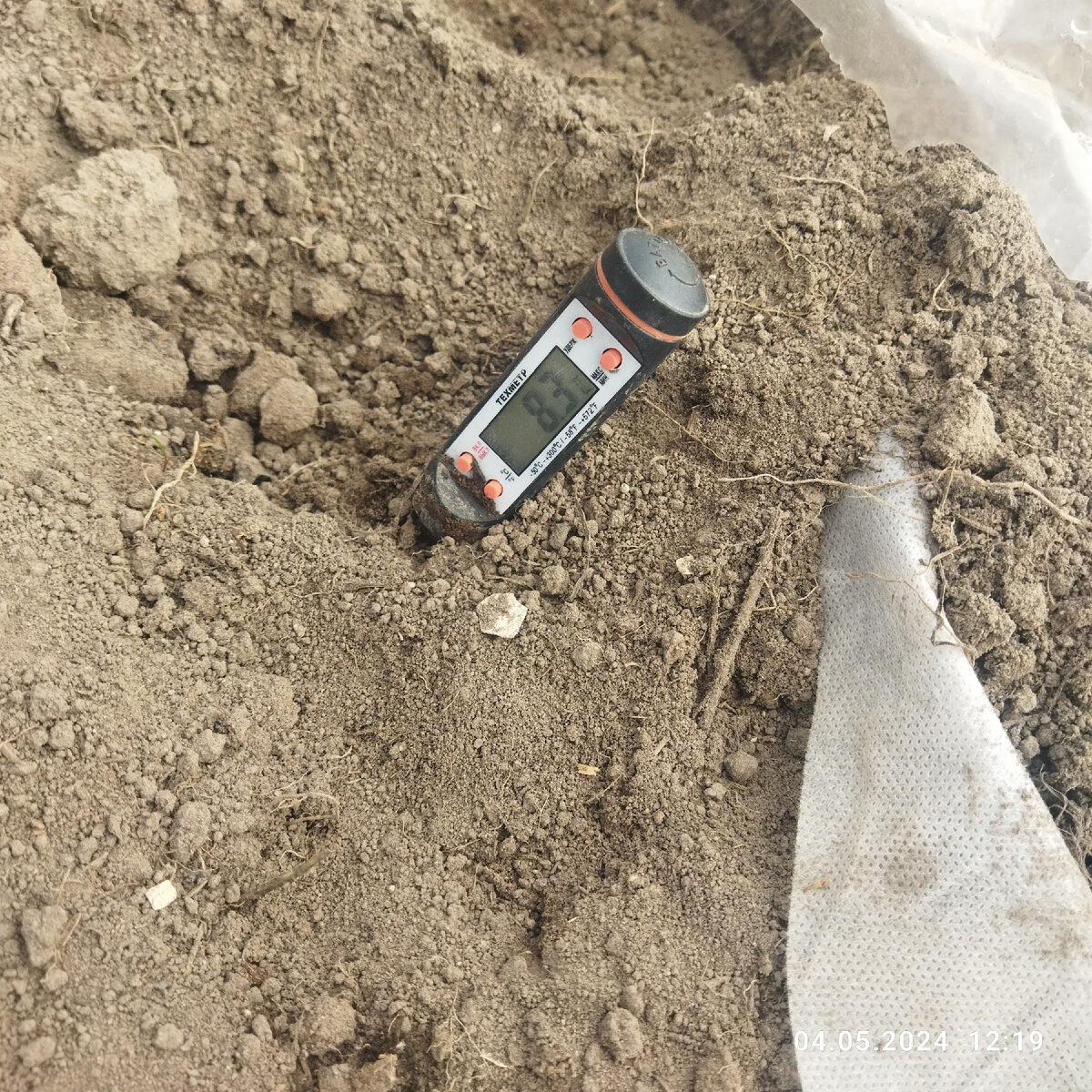 4 мая, В парнике, под спанбондом и плёнкой. На самом солнце. Земля не пролита (понимаете к чему клоню, да?)