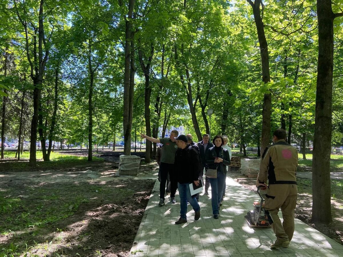    В курском парке "Бородино" спецкомиссия оценивает состояние деревьев