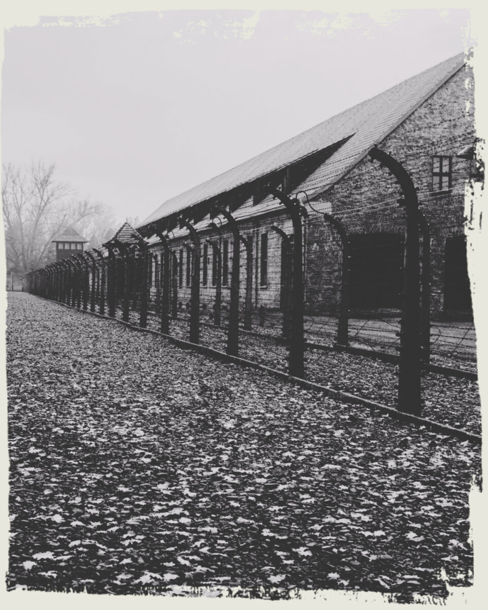 Барак Биркенау. Фото из открытых источников