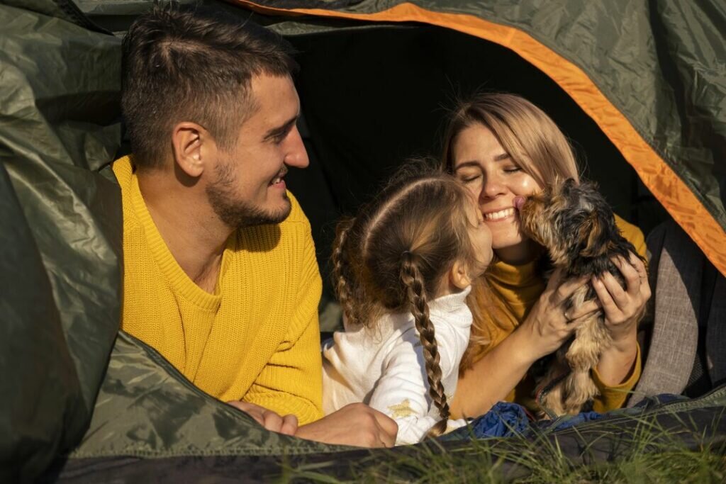 Источник фото: freepik.com/freepik