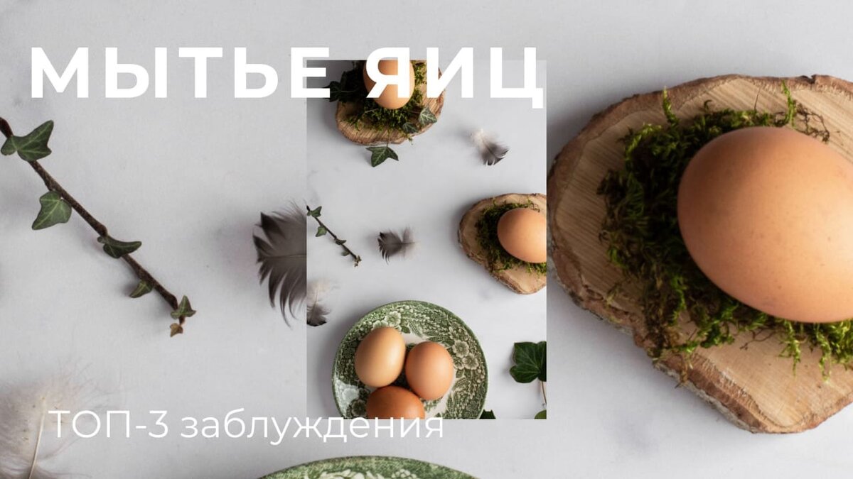 яйца к пасхе