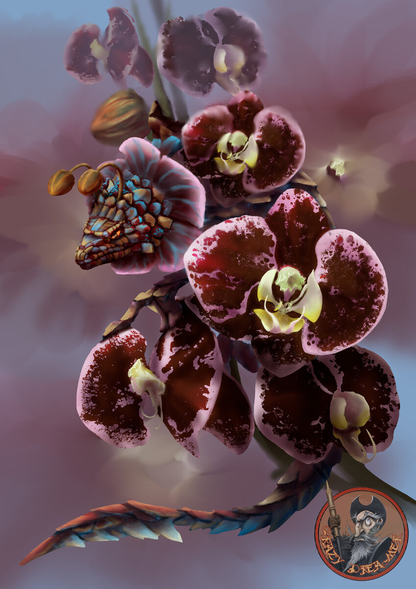 автор Crazy Dreamer