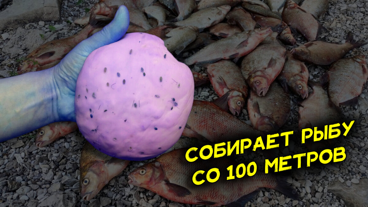 Насадка для ловли рыбы, которая без улова не оставит