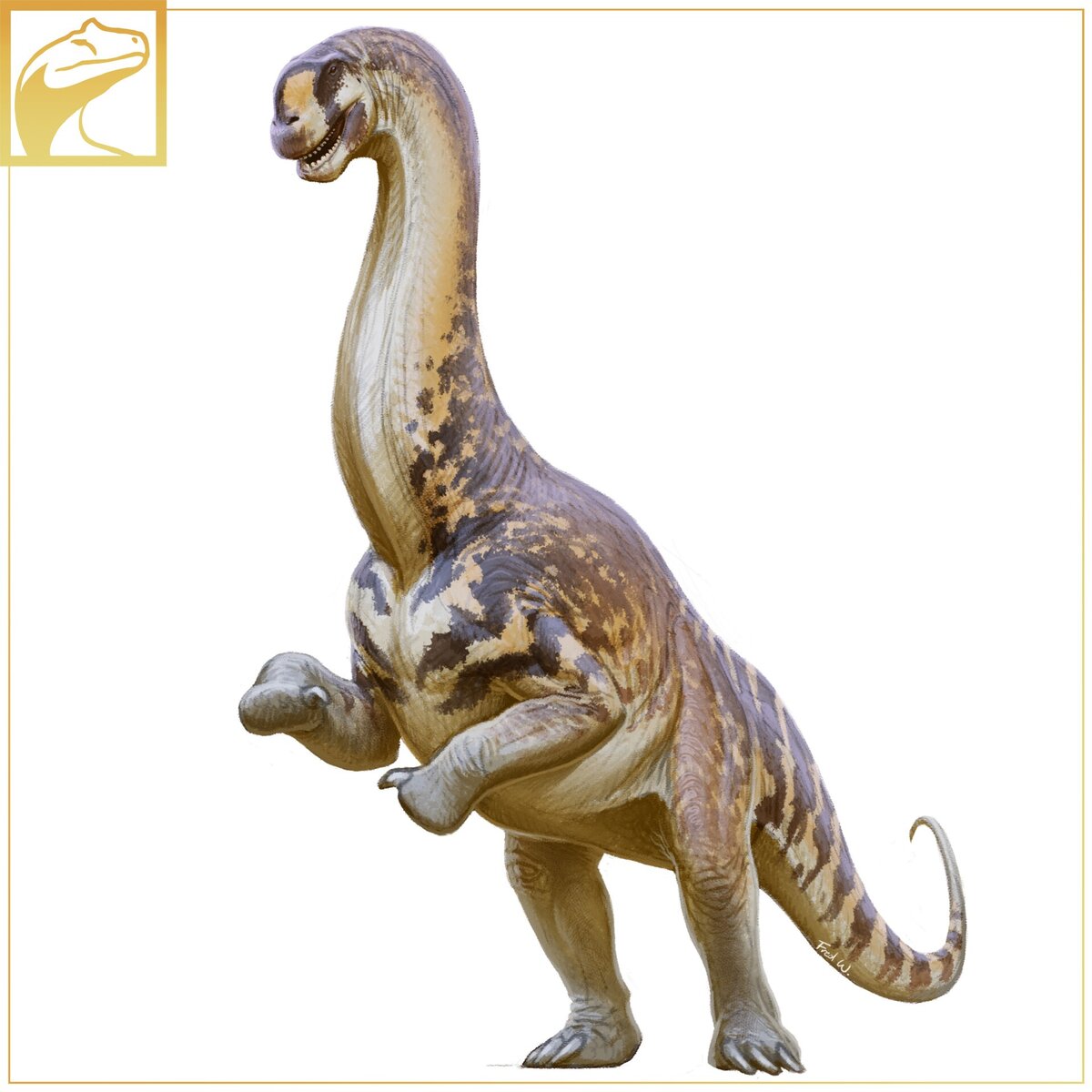 Каков красавец!