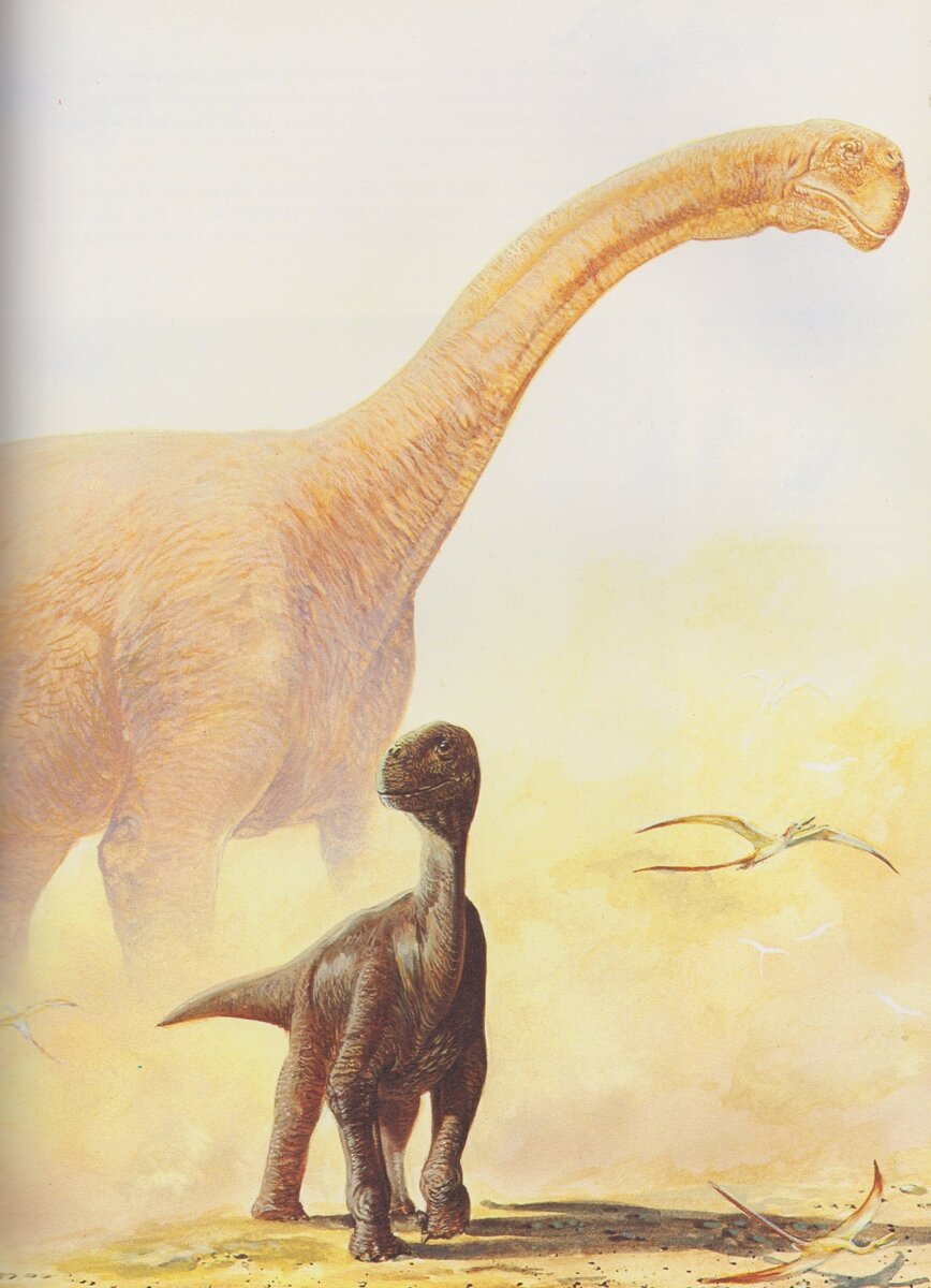 Когда бабушка подозревает тебя в курильщика.