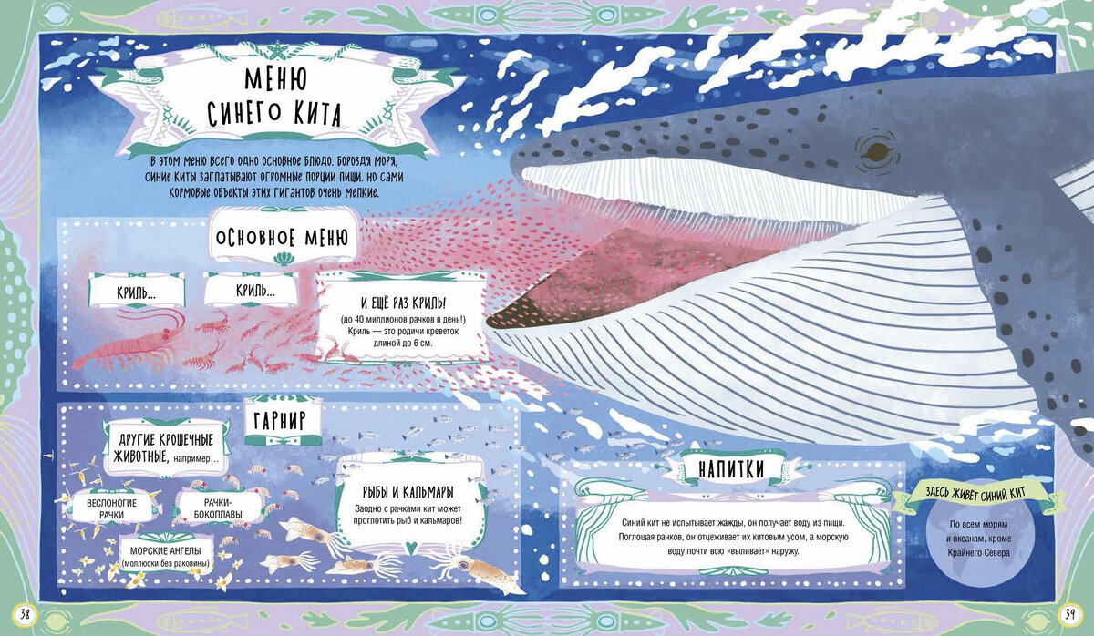 Бен Хоар. Что едят сурикаты и другие голодные животные (Пешком в историю, 2024). Иллюстрации Гуэй Скипп. Перевод с английского Юлии Касаткиной.