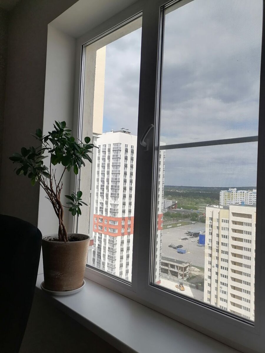 Стройка дома за окном.