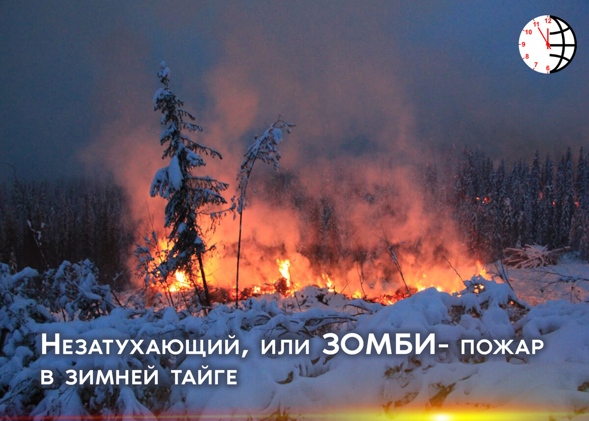 Зомби-пожары. Климат:время не ждёт.