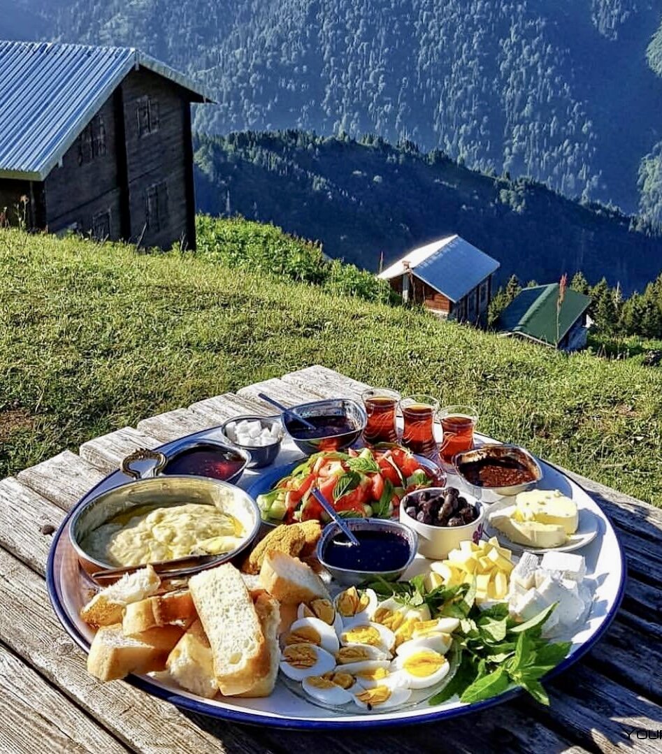 Роскошный вид и полноценный рацион.