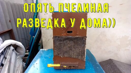 Очередная разведка у дома