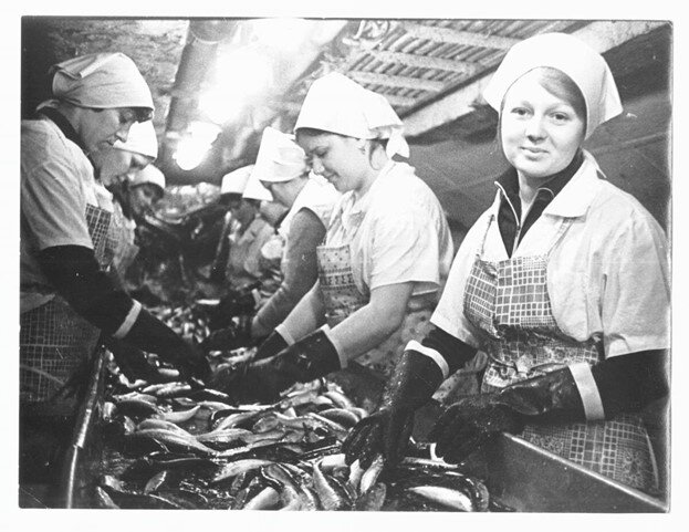 Ручная разделка рыба на плавбазе «Рижское взморье»