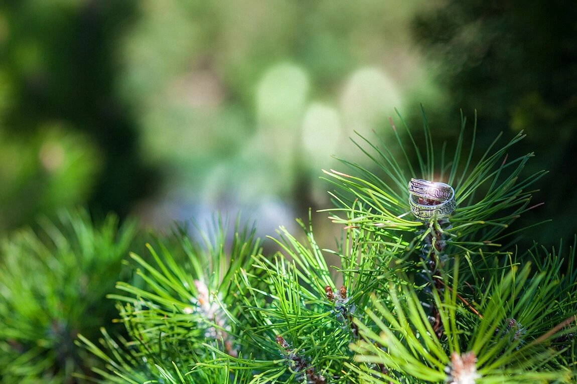 Кольца были изготовлены на заказ в мастерской Санкт-Петербурга. Стилизованный вариант традиционных кладдахских. 