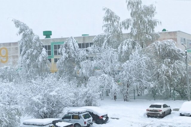    Фото: «АиФ-Урал»/ Александр Комаров