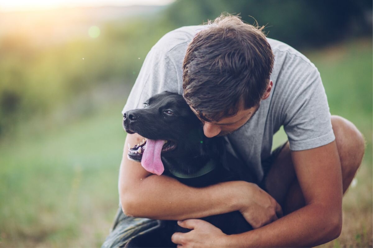 5 положительных качеств собаки, которые делают ее потрясающей | Dog Breeds  | Дзен