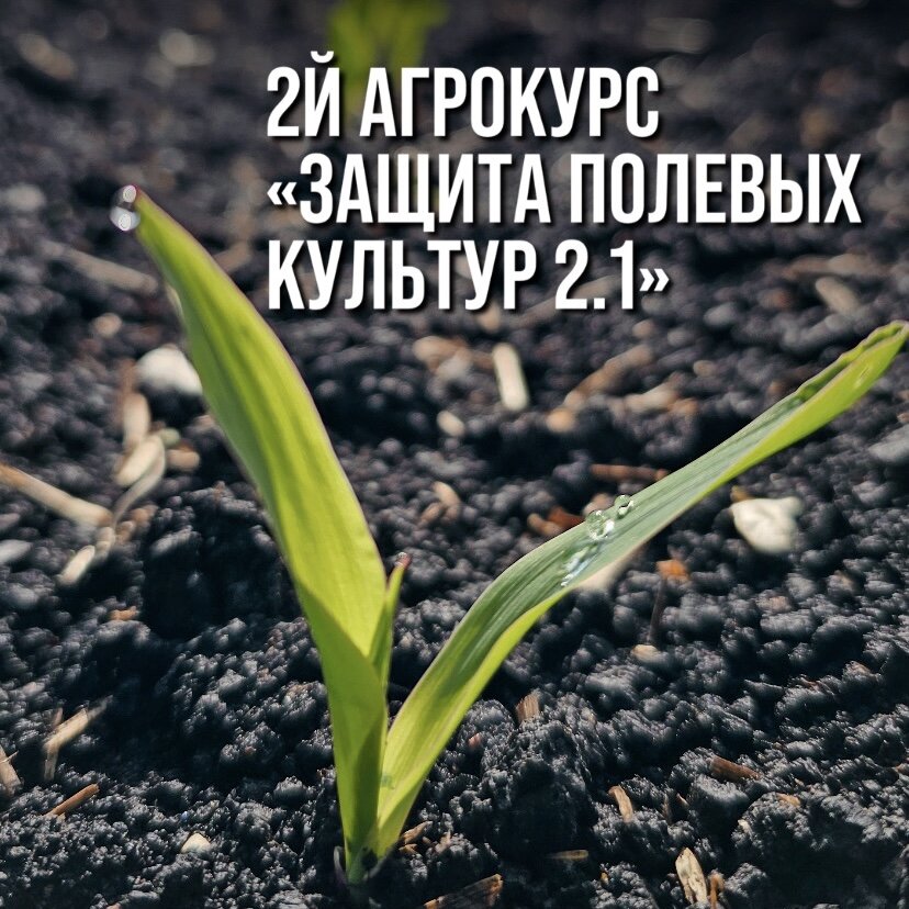 ВТОРОЙ АГРОКУРС «ЗАЩИТА ПОЛЕВЫХ КУЛЬТУР 2.1» 
