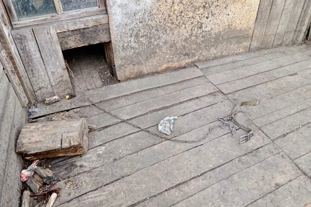    Фото: СУ СКР по Иркутской области