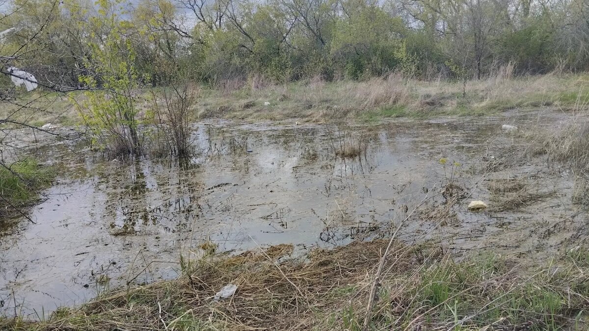     Источник: vk.com/magnitkacity