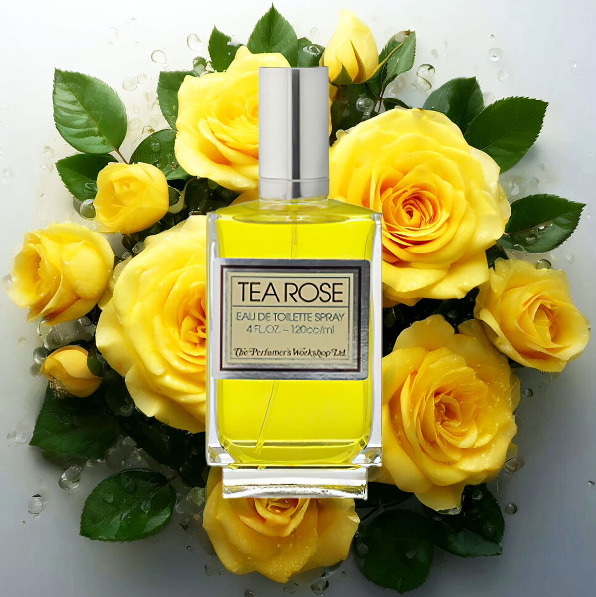 группа: цветочные ноты: роза, бергамот, лилия, розовое дерево, тубероза, сандал, кедр, амбра
выпущен в 1977 году
Парфюмеры: Rene Morgenthaler, Leon Hardy