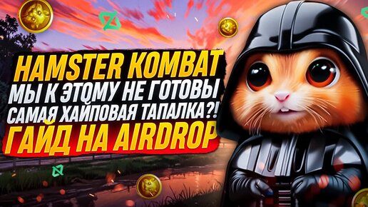 HAMSTER KOMBAT | ПРОКАЧКА, ЛИСТИНГ | КОГДА АИРДРОП?