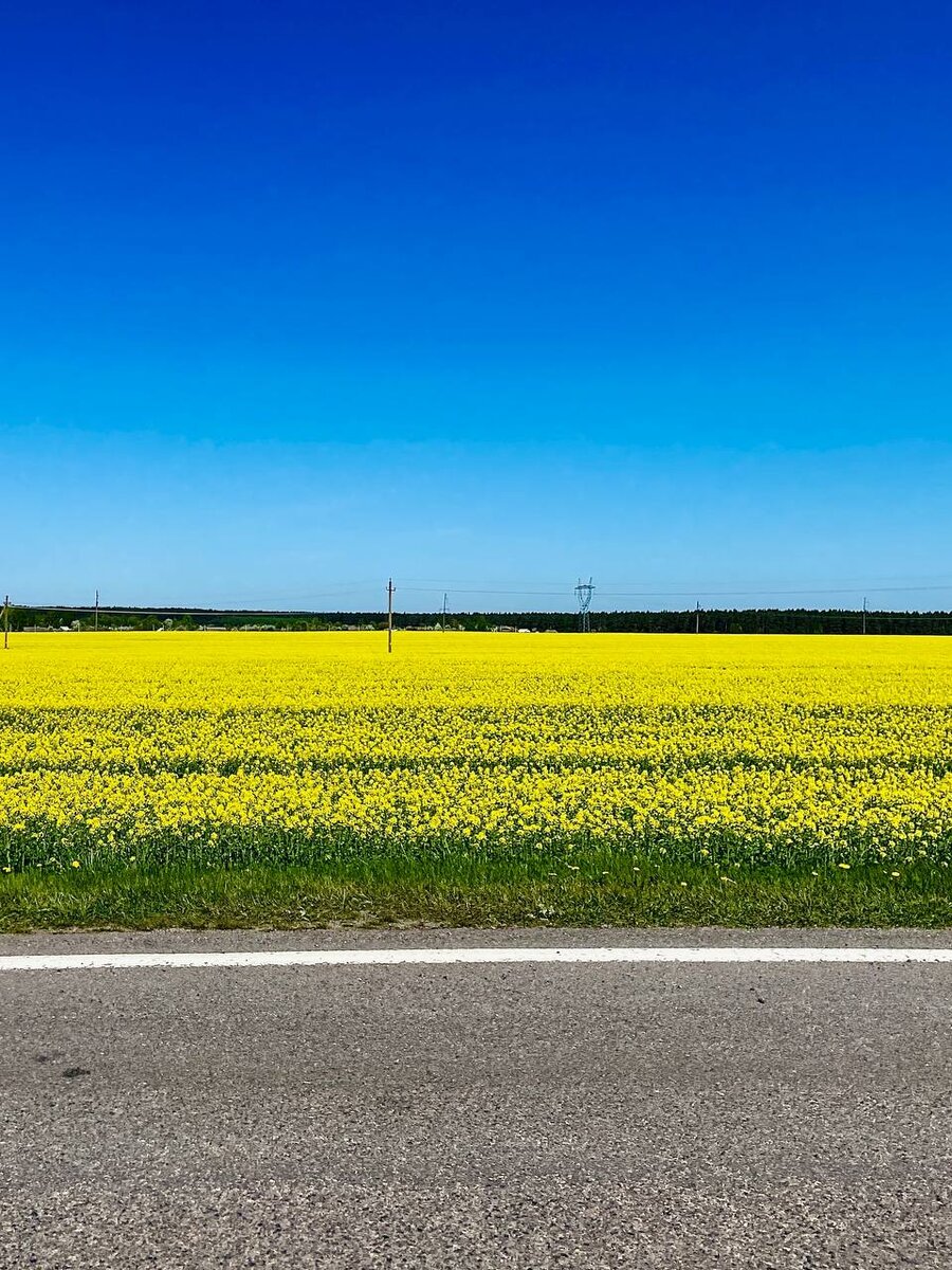 По пути до замков