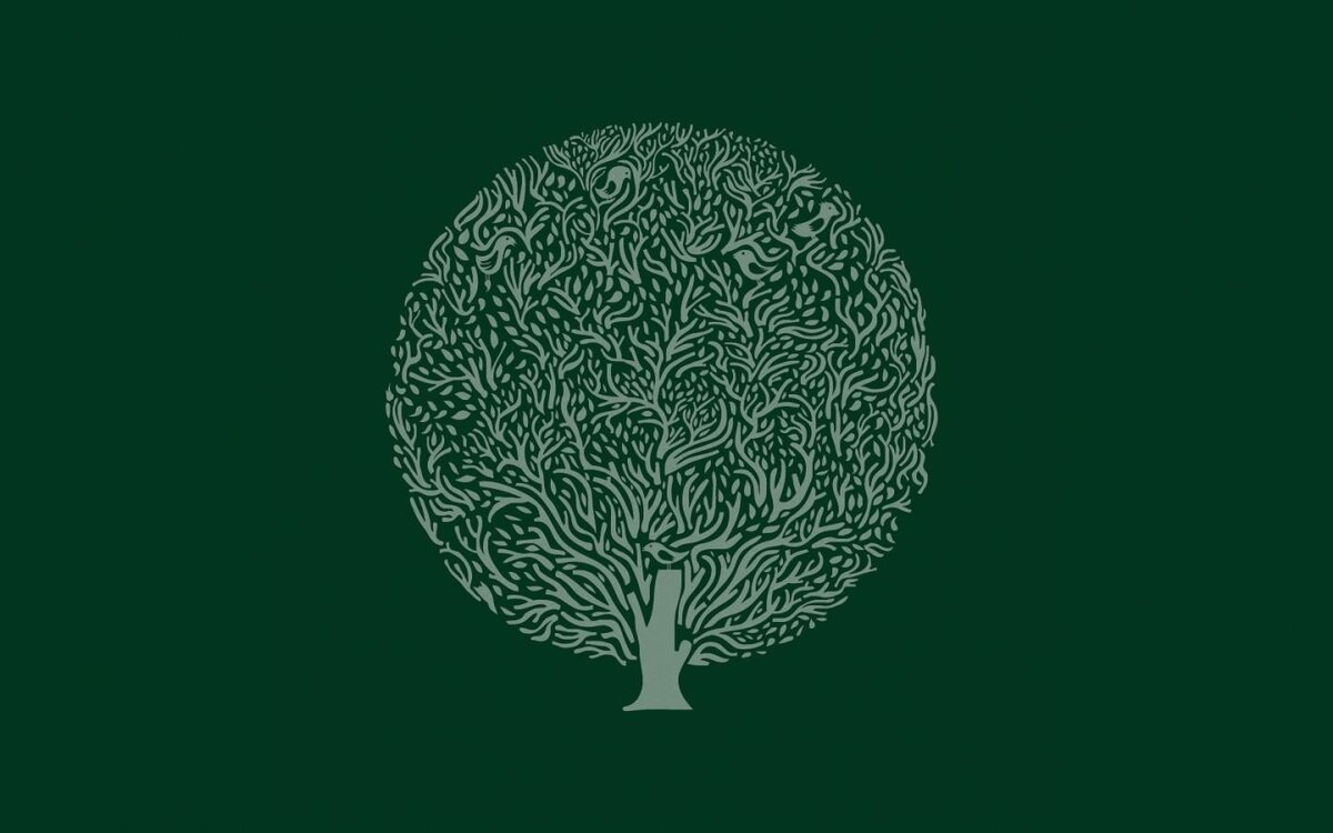 Из открытых источников