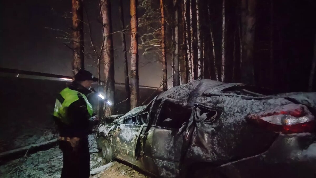 Водитель влетел в дерево и погубил пассажира под Екатеринбургом | Новости  Тагила TagilCity.ru | Дзен