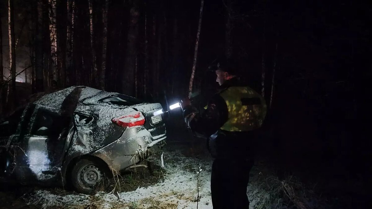 Водитель влетел в дерево и погубил пассажира под Екатеринбургом | Новости  Тагила TagilCity.ru | Дзен