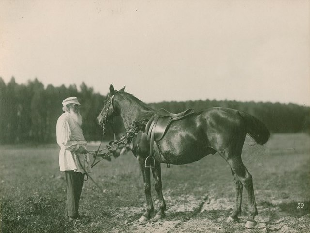 Лев Толстой и его лошадь Делир. Фотограф: Карл Булла. Общественное достояние